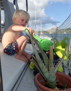 6ttSB%fYQ3+1ScQjmUw4aA_thumb_b7