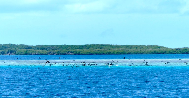 IK1jVybZRGSO%OMVV7Dmng_thumb_127e