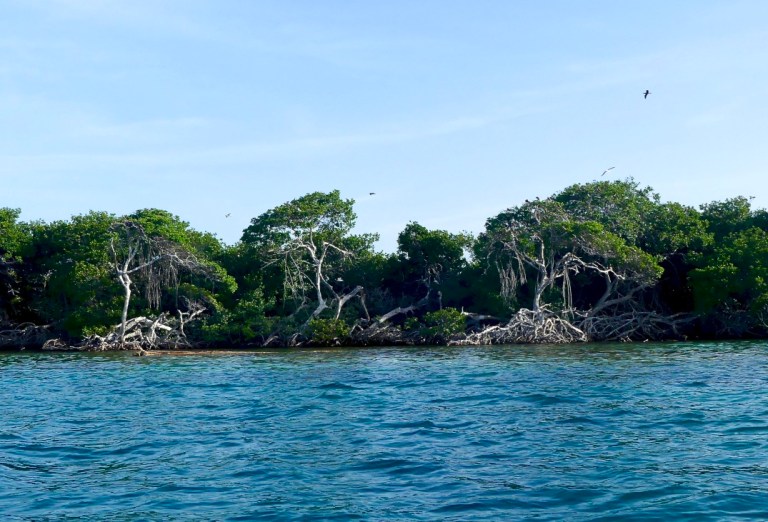 6wgJPKzdT0aV0ov9ivMFlw_thumb_14c7