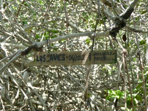 qGvMdLTjQo2tuPOjeO%twQ_thumb_14e7