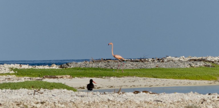 yaYg9CCTQdOkn7YCUVg5ag_thumb_14d3