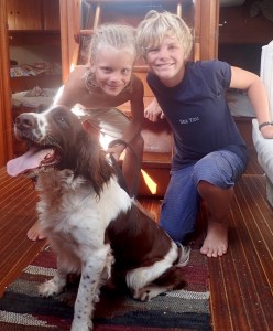 rvKX3tq0SIyCe193zDXeEQ_thumb_318c