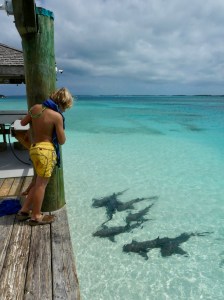 1Vupn2SAT2+aY62CuIHtTg_thumb_3859