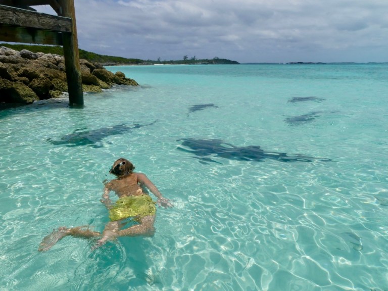 n57GORbcSP+LdWMvrBgxGw_thumb_3836