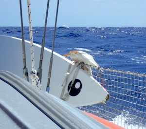 nuyx55X2Sq6+9gPscdjQCg_thumb_37ba