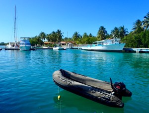 qAki558OSGWD2qsknmr2FQ_thumb_36f5