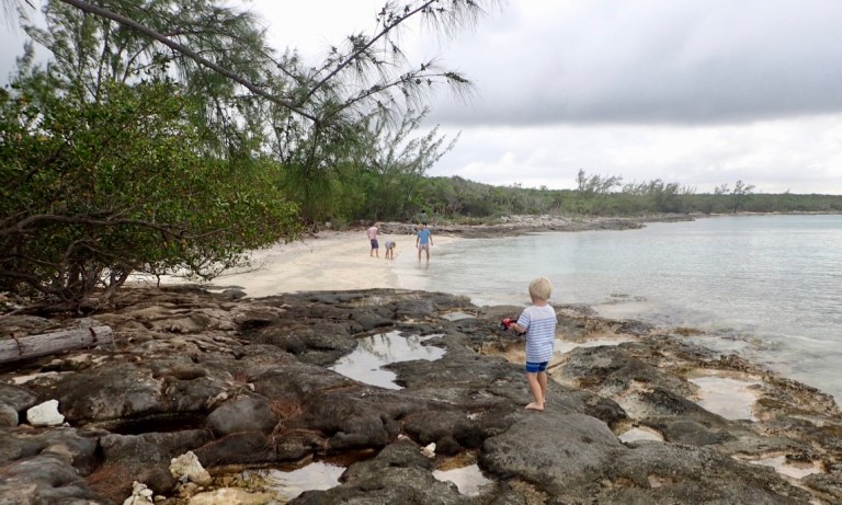 0Q5PTvTCT1W0mcHaMMx8GA_thumb_3b65